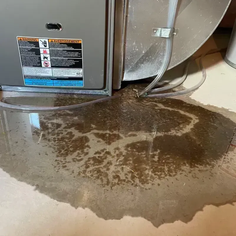 Appliance Leak Cleanup in Kearney, MO